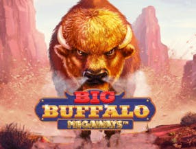 game logo by Skywind Group on don-bet-uk.com