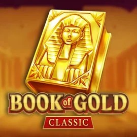 game logo by Playson on don-bet-uk.com
