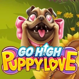 game logo by RubyPlay on don-bet-uk.com